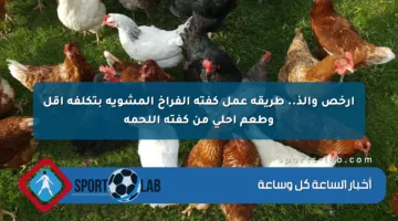 أرخص وألذ.. طريقة عمل كفتة الفراخ المشوية بتكلفة أقل وطعم أحلى من كفتة اللحمة